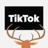 TikTok Views kaufen - FollowDeer